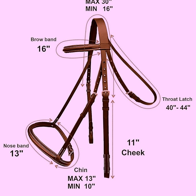 Majestic Ally Padded Raised English Bridle, Premium Leather, Matching Laced Reins