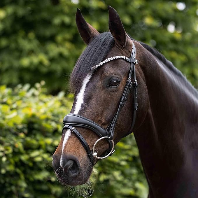 HORZE Somerset Fancy Show Bridle