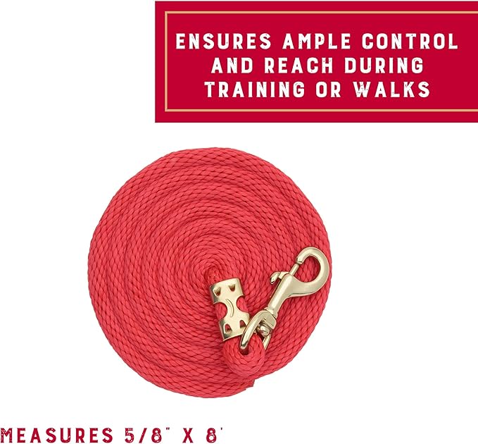 Weaver Equine Performance Lead Rope, 8' Horse Value Rope with Brass Plated 225 Snap, Soft Comfort Grip, Barn Horse Tack for Daily Use