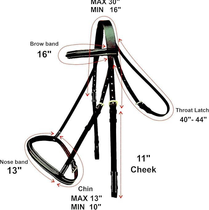 Majestic Ally Padded Raised English Bridle, Premium Leather, Matching Laced Reins