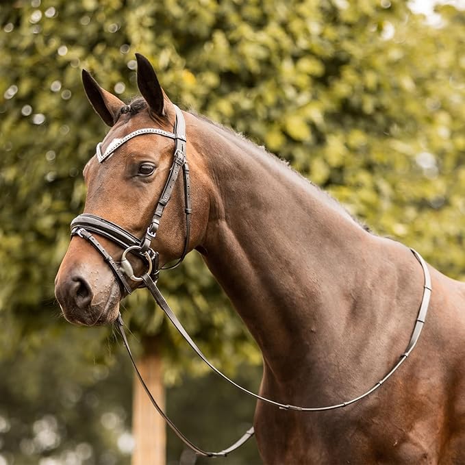 HORZE Grayson Classic Leather Ergonomic Snaffle Dressage Bridle with Detachable Flash