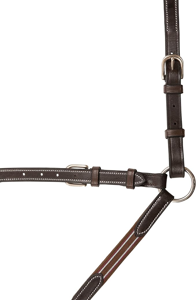Exion English Horse Breastplate with Running Martingale | Premium 3-Point Breastplate with Wither Padding, Girth Loops & Elastic Chest | Vegetable-Tanned Leather | Black & Brown