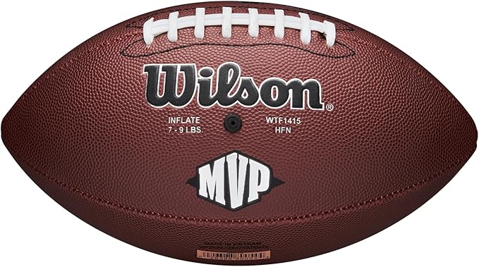 WILSON NFL レクリエーション フットボール