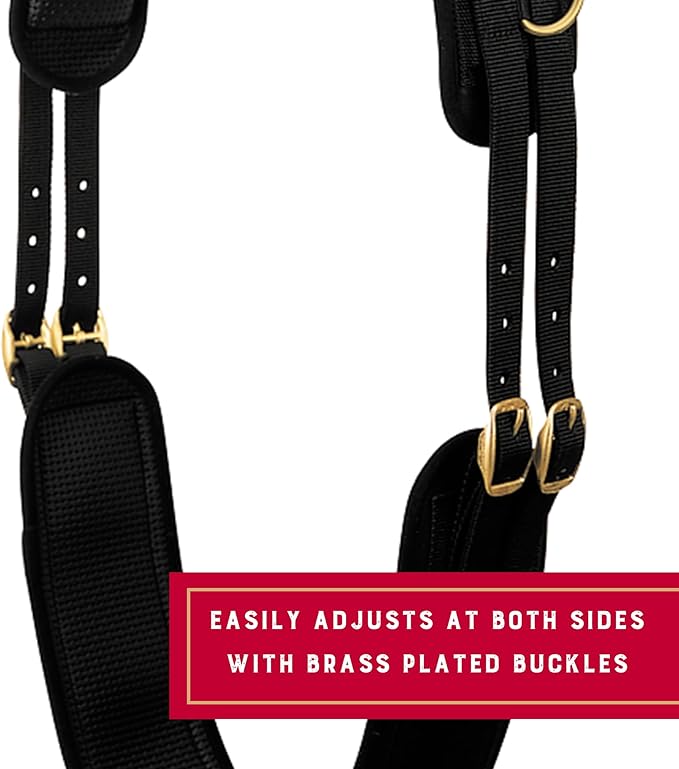 Weaver Equine Adjustable Surcingles for Horses with Shock-Absorbing Neoprene, Brass Plated Buckles & Dee Rings for Side Reins, Fits 68" to 72"