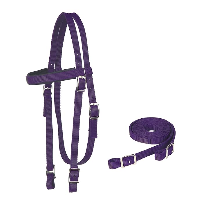 Majestic Ally Horse Headstall with Reins, Nylon Padded Browband, Multiple Colors (Purple, Full)
