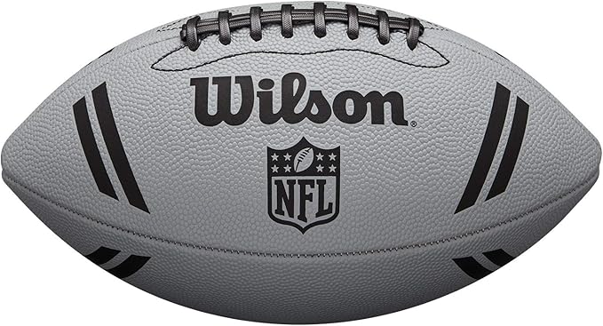 WILSON NFL Recreational Footballs