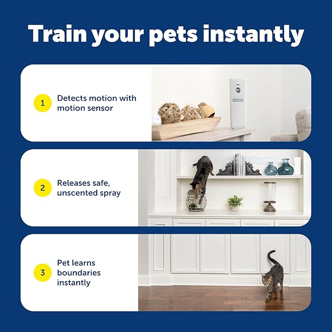 PetSafe SSSCAT Automatic Spray Pet Deterrent - Contactless Behavior Correction - Motion Sensor Air Burst - Odorless - Non-Staining - Versatile Placement Spray
