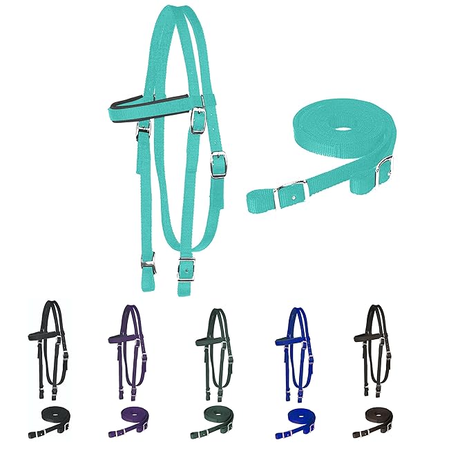 Majestic Ally Horse Headstall with Reins, Nylon Padded Browband, Multiple Colors (Turquoise, Pony)