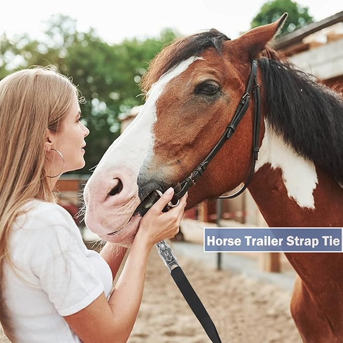 Rosemarie Adjustable Nylon Cross Tie, Trailer Tie for Horse Haulage with Panic Snap and Bull Snap - Adjusts from 48" to 86", 1" Wide