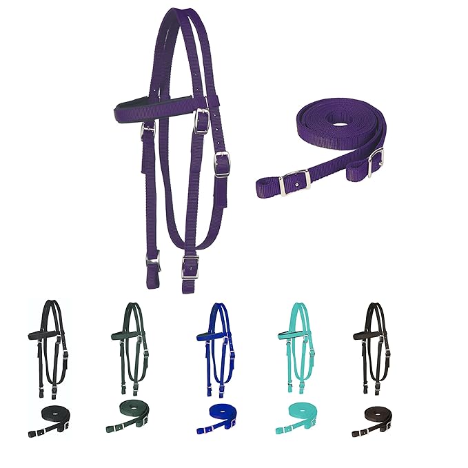 Majestic Ally Horse Headstall with Reins, Nylon Padded Browband, Multiple Colors (Purple, Full)