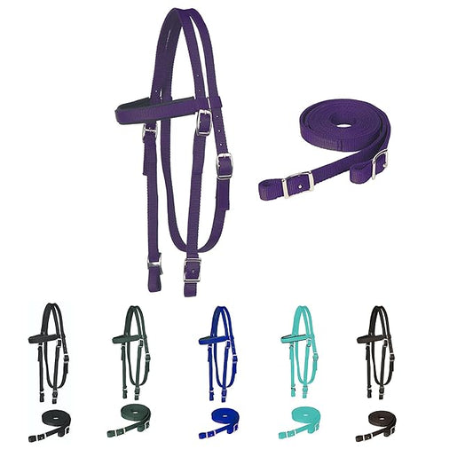 Majestic Ally Horse Headstall with Reins, Nylon Padded Browband, Multiple Colors (Purple, Draft)