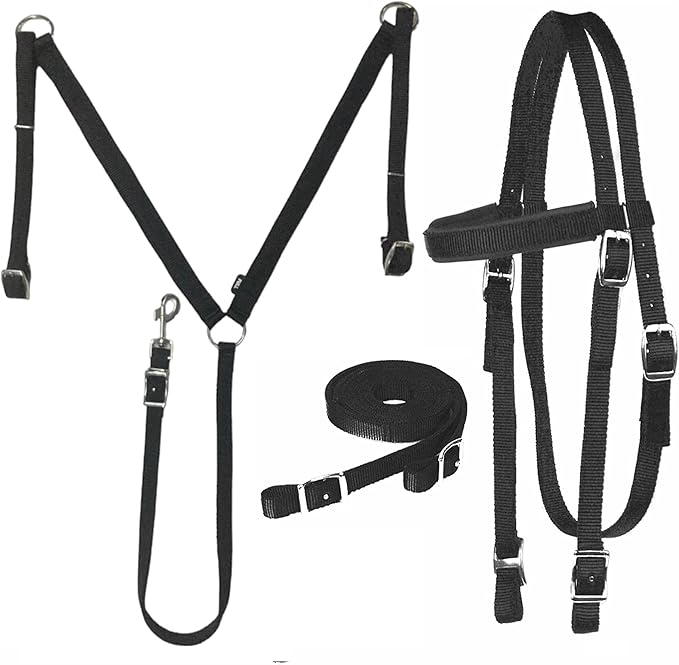 Majestic Ally Nylon Padded Equestrian Browband Headstall, Reins & BreastCollar Set for Horse- Full