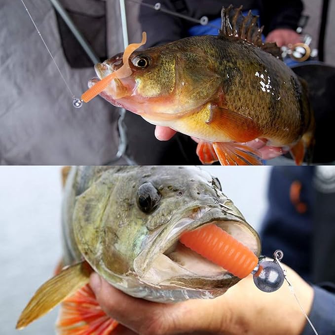 Goture Round Lead Jig Head Hooks for Freshwater & Saltwater Fishing, Swimbait Jig Heads with Fishing Box, Ideal for Trout & Bass