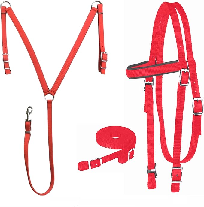 Majestic Ally Nylon Padded Equestrian Browband Headstall, Reins & BreastCollar Set for Horse- Full