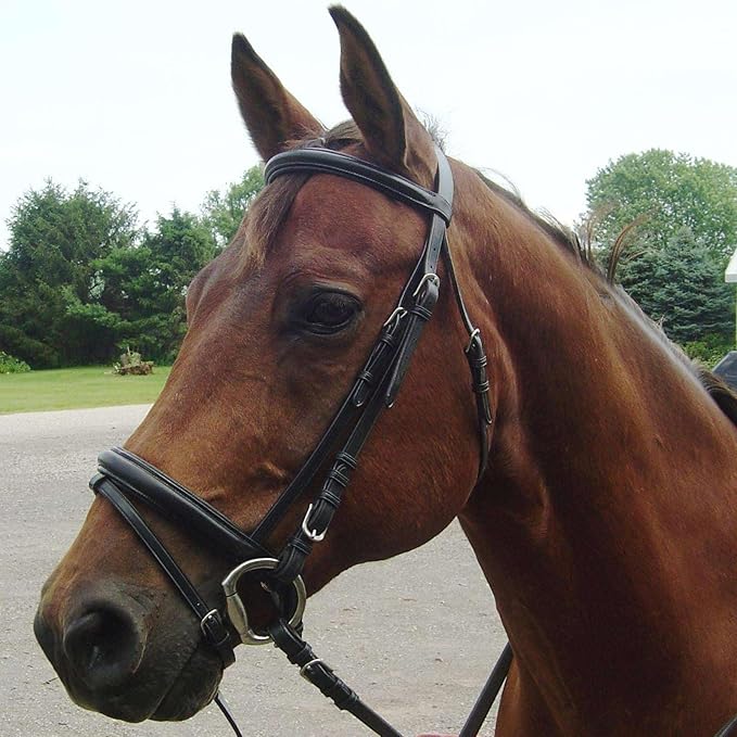 Derby Originals Black Leather Dressage Crank Horse Bridle with Flash and Rubber reins St. Steel Hardware with 1 Year Warranty. for Daily use. (Black, Full Horse (Large))