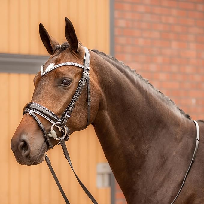 HORZE Grayson Classic Leather Ergonomic Snaffle Dressage Bridle with Detachable Flash