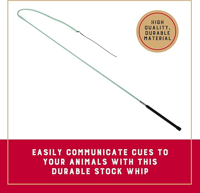 Weaver Equine 50" Stock Whip Horse Training Whip With Comfort Grip Rubber Handle, Horse Control, Show Ring Competition Accessory, ‎Green/White