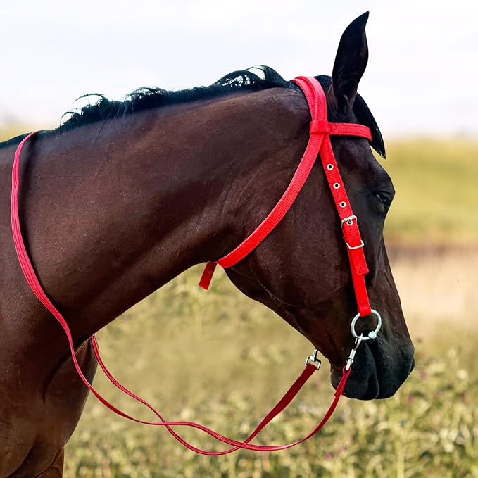 Horse Bridle Bridle Rein Harness Adjustable Horse Bridle Headstall Equestrian Reins