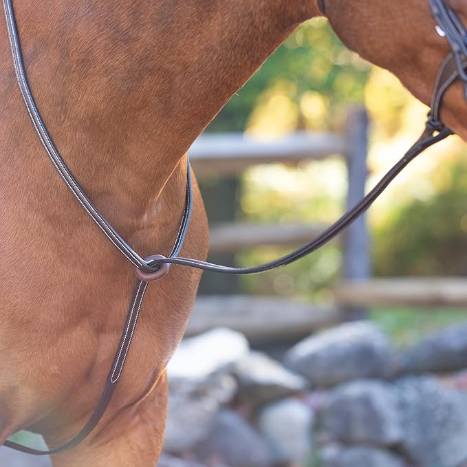 Equinavia Saga Adjustable Leather Standing Martingale with Stainless Steel Hardware (Stopper Not Included)