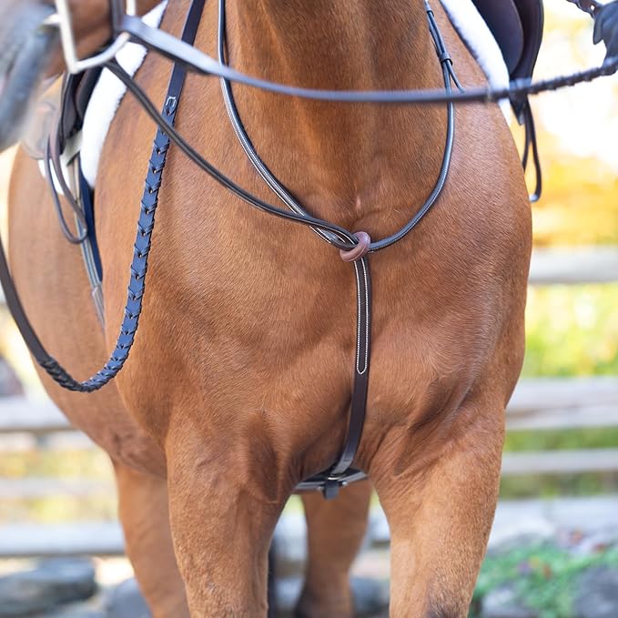 Equinavia Saga Adjustable Leather Standing Martingale with Stainless Steel Hardware (Stopper Not Included)