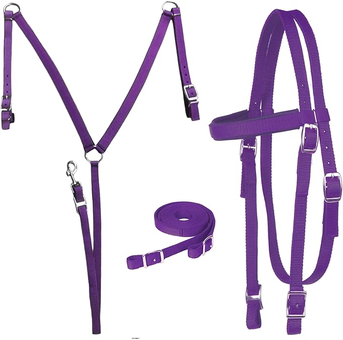 Majestic Ally Nylon Padded Equestrian Browband Headstall, Reins & BreastCollar Set for Horse- Full