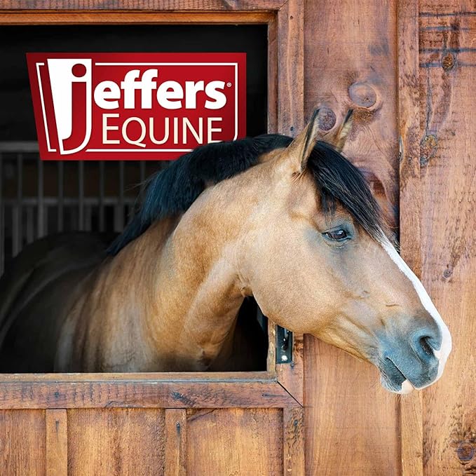 Jeffers Equine Double Sided Sisal & Microfiber Face Mitt for Horses – Horse Grooming Mitt, Horse Care Tool, Barn & Stable Grooming, Sensitive Areas, Exfoliating, Polishing, Cleaning -8" L x 6" W