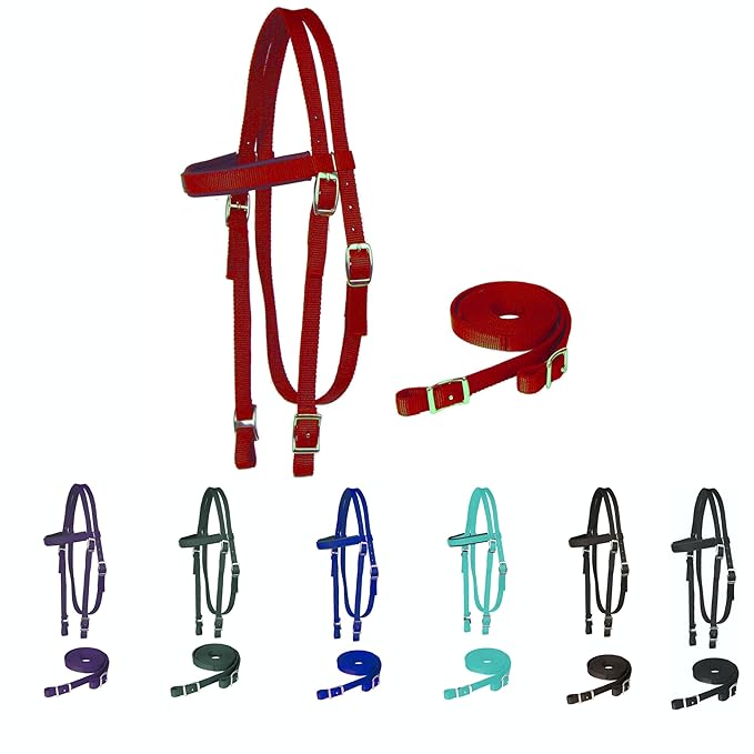 Majestic Ally Horse Headstall with Reins, Nylon Padded Browband, Multiple Colors (Red, Cob)