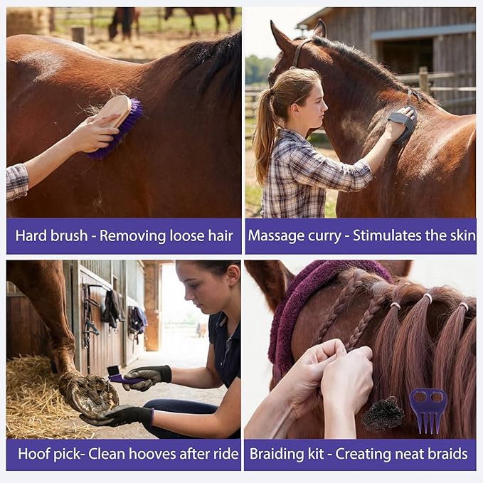 13 Piece Horse Grooming Kit, Complete Horse Brush Set & Curry Comb, Horse Brushes for Grooming with Tote Bag, Tack Room Supplies for Effective Bathing Massaging, Gift for Horses Owners (Purple)