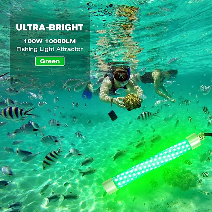 Underwater Fishing Light 12V / 110V Fish Attracting Light for Boat Docks Kayaks at Night, Submersible Green Light for Crappie Snook Squid Bait Catfish (16.4ft / 33ft Cable)