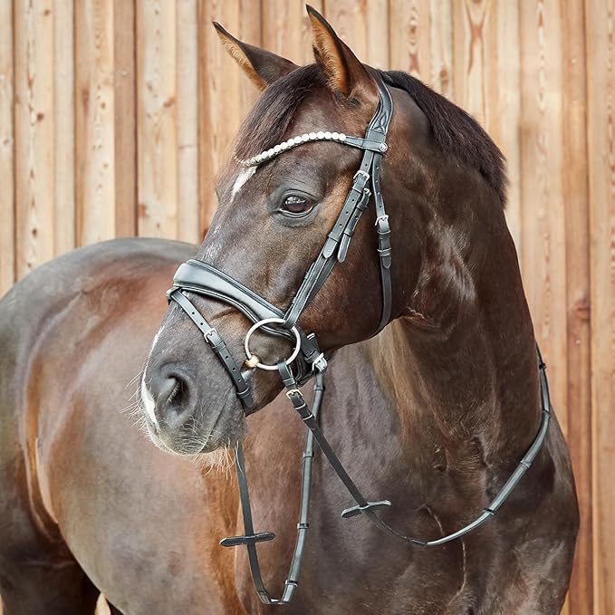 HORZE Somerset Fancy Show Bridle