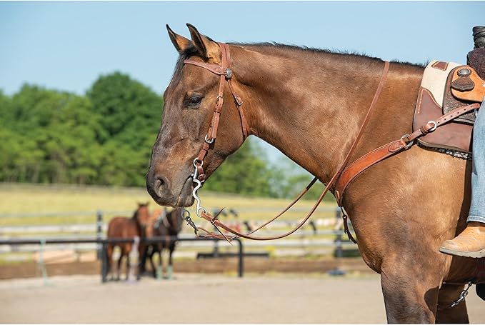 Weaver Leather unisex adult western-equestrian-style Stacy Protack b band, Brown, One Size US