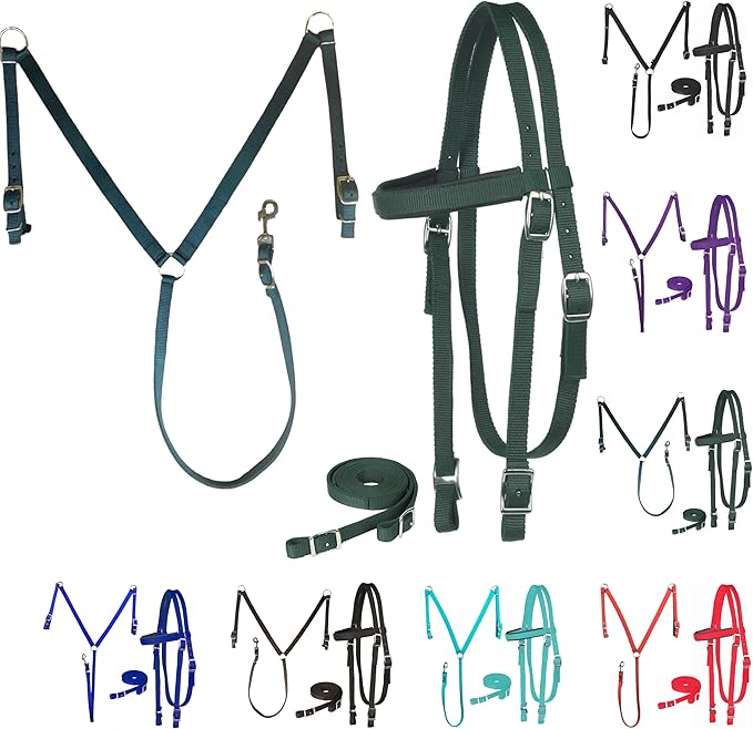 Majestic Ally Nylon Padded Equestrian Browband Headstall, Reins & BreastCollar Set for Horse- Full