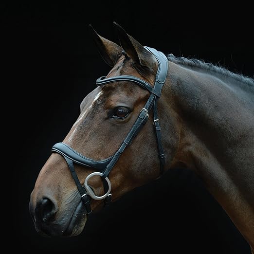 Collegiate ComFiTec Vogue Anatomical Bridle, Black, Full