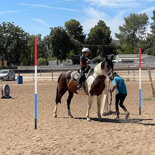 6 Pcs Pole Bending Poles for Horses with Bag, 6FT Horse Training Agility Poles Adjustable Training Equipment for Dog, Red White Blue with Metal Spring Ground Nail ﻿
