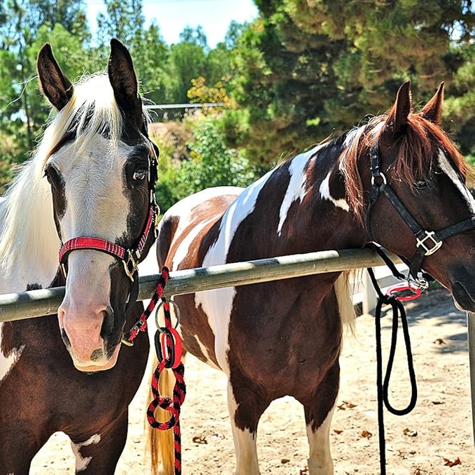 Injuries Preventing Horse Tether Tie - Portable, Versatile & Reusable Breakaway Horse Tie, Quick Release Under Heavy Pressure w/ 5 Loop Settings, Multi-Purpose Horse Clip (2 pcs Dark Green)