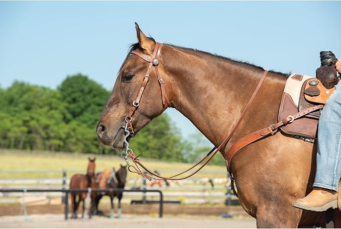 Weaver Leather unisex adult western-equestrian-style Stacy Protack b band, Brown, One Size US