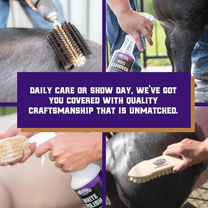 Weaver Livestock Basic Pig Show Whip, Hog Livestock Whip with Braided Nylon Handle, Leather Popper, Lightweight Braided Shaft