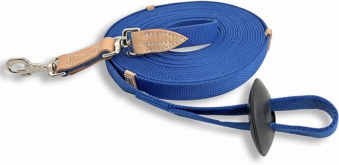35' Flat Cotton Web Lunge Line with Bolt Snap & Rubber Stop - By Southwestern Equine (35', Sapphire)