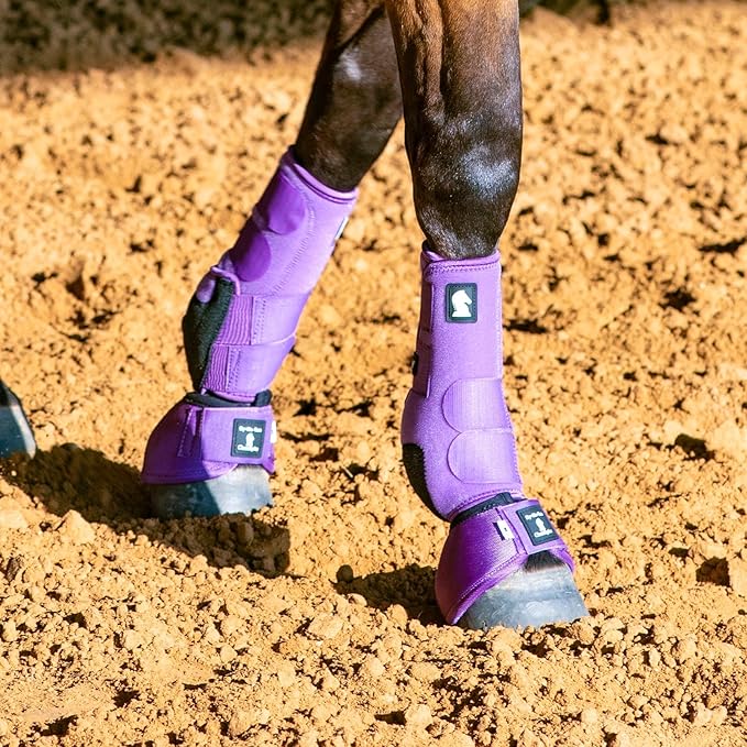 Classic Equine Legacy2 Support Boots, Front (Violet Purple, Large)