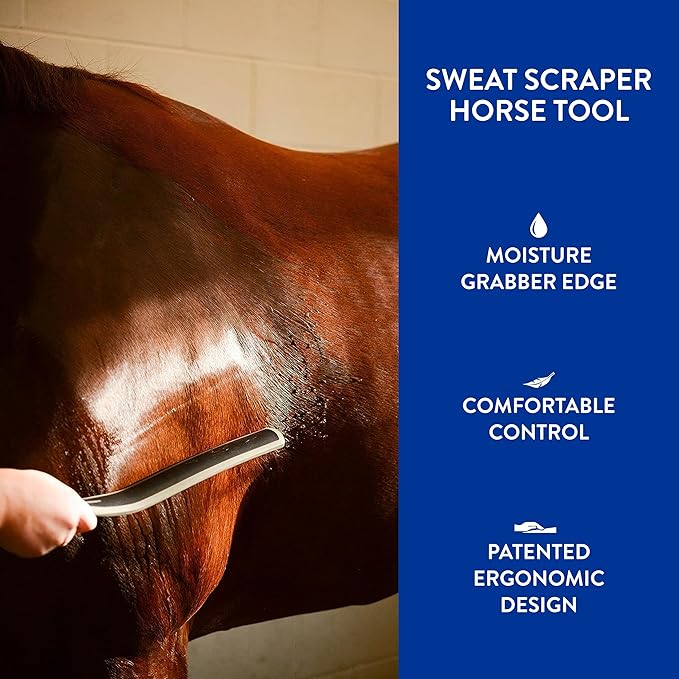 WAHL Professional Animal Equine Grooming Sweat Scraper Horse Tool - Black