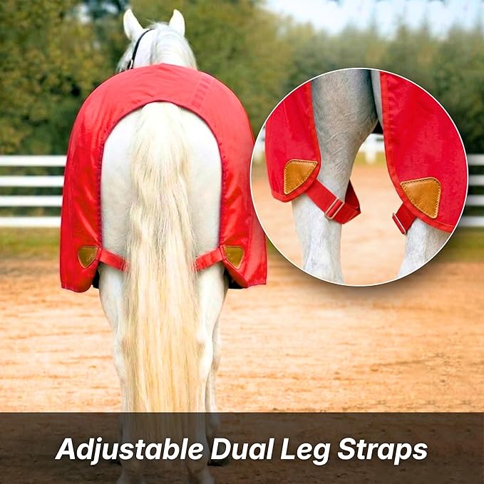 Nylon Horse 420D Stable Sheet | Breathable & Durable Horse Sheet | Keeps Coat Clean, Smooth & Shiny | Adjustable Fit Summer Sheet (60"– 86" Sizes)