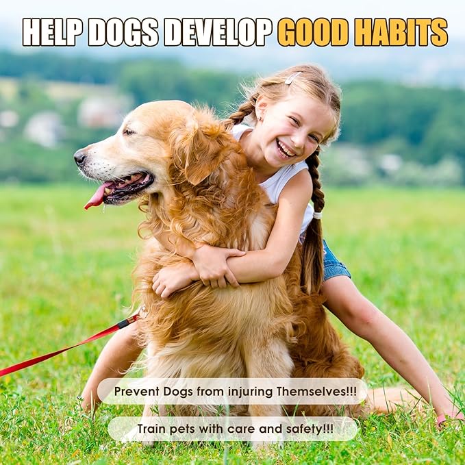 Bitter Apple Spray for Dogs, Effectively, No Chew Spray for Dogs Stop Licking Biting & Destructive Behavior Protect Your Furniture Prevent Licking Injuries Indoor/Outdoor Training Deterrent (150ML)
