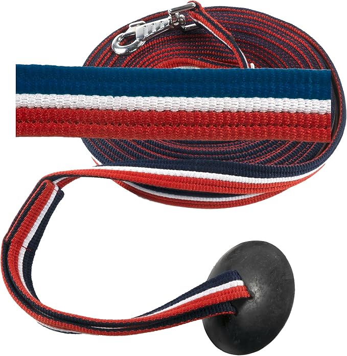 Southwestern Equine Lunge Line for Horses Cotton Horse Lunge Line with Bolt Snap & Rubber Stop (Red White & Blue, 24')