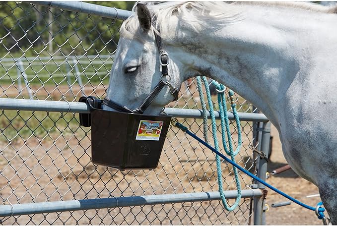 Little Giant® Plastic Hook Over Feeder | Mountable Livestock & Pet Feed Bucket | Horse Feed Bucket | Made in USA | 15 Quarts | Black