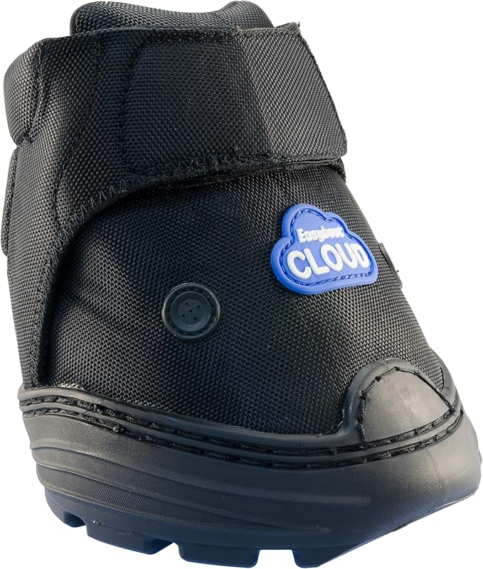Easyboot Cloud (4)