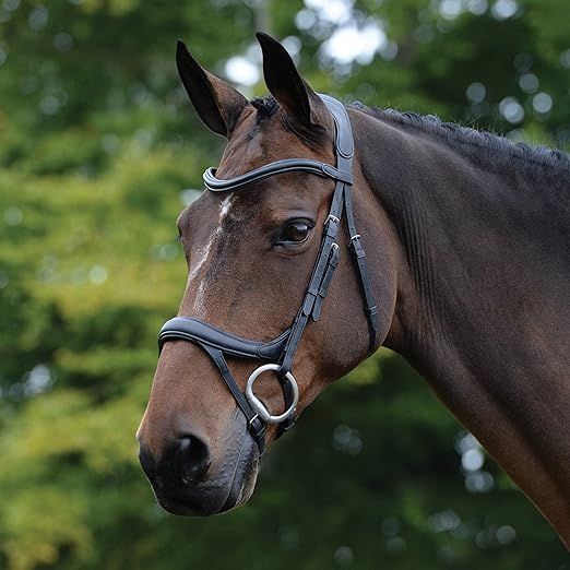 Collegiate ComFiTec Vogue Anatomical Bridle, Black, Full