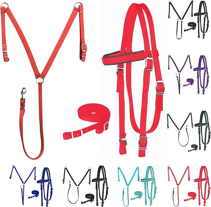 Majestic Ally Nylon Padded Equestrian Browband Headstall, Reins & BreastCollar Set for Horse- Full