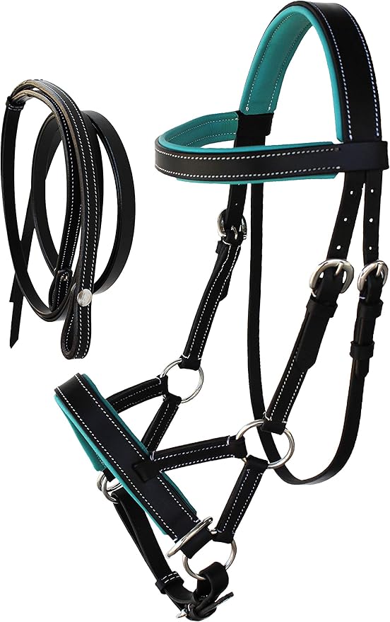 CHALLENGER Horse Western Leather Teal Padded Bitless Sidepull Bridle Reins 77RS33TL-F