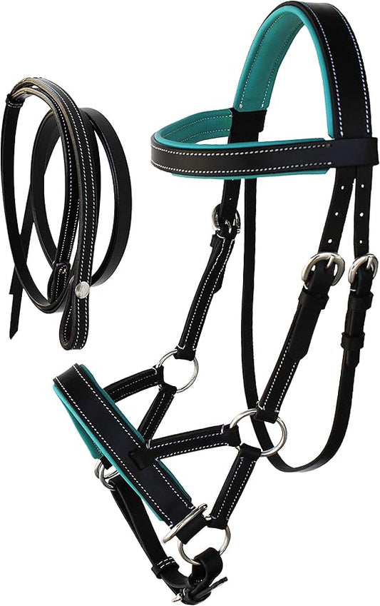 CHALLENGER Horse Western Leather Teal Padded Bitless Sidepull Bridle Reins 77RS33TL-F