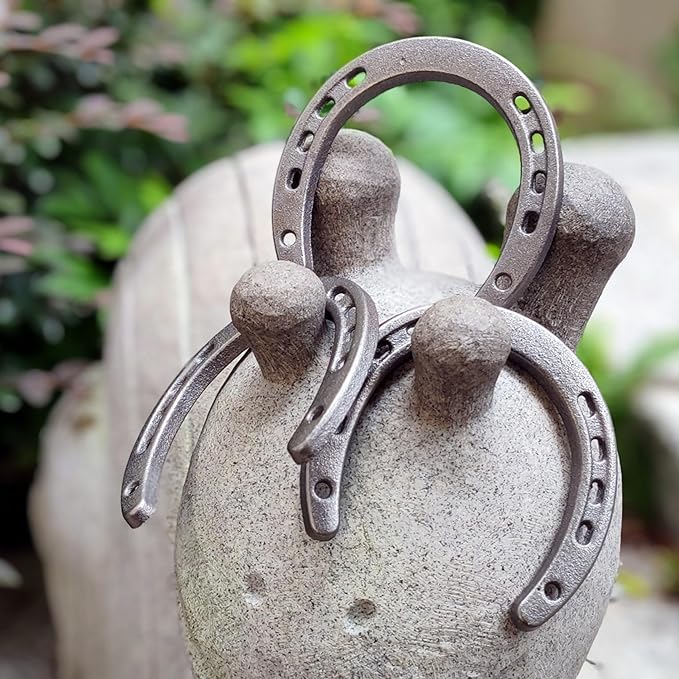 Desyeryamimi 8,12,24 PCS Horseshoe Wall Decor,Lucky Cast Iron Horse Shoes for Decorations,Crafts,Wedding,Birthday,Cowboy Party,Western Party Favors Supplies (12)